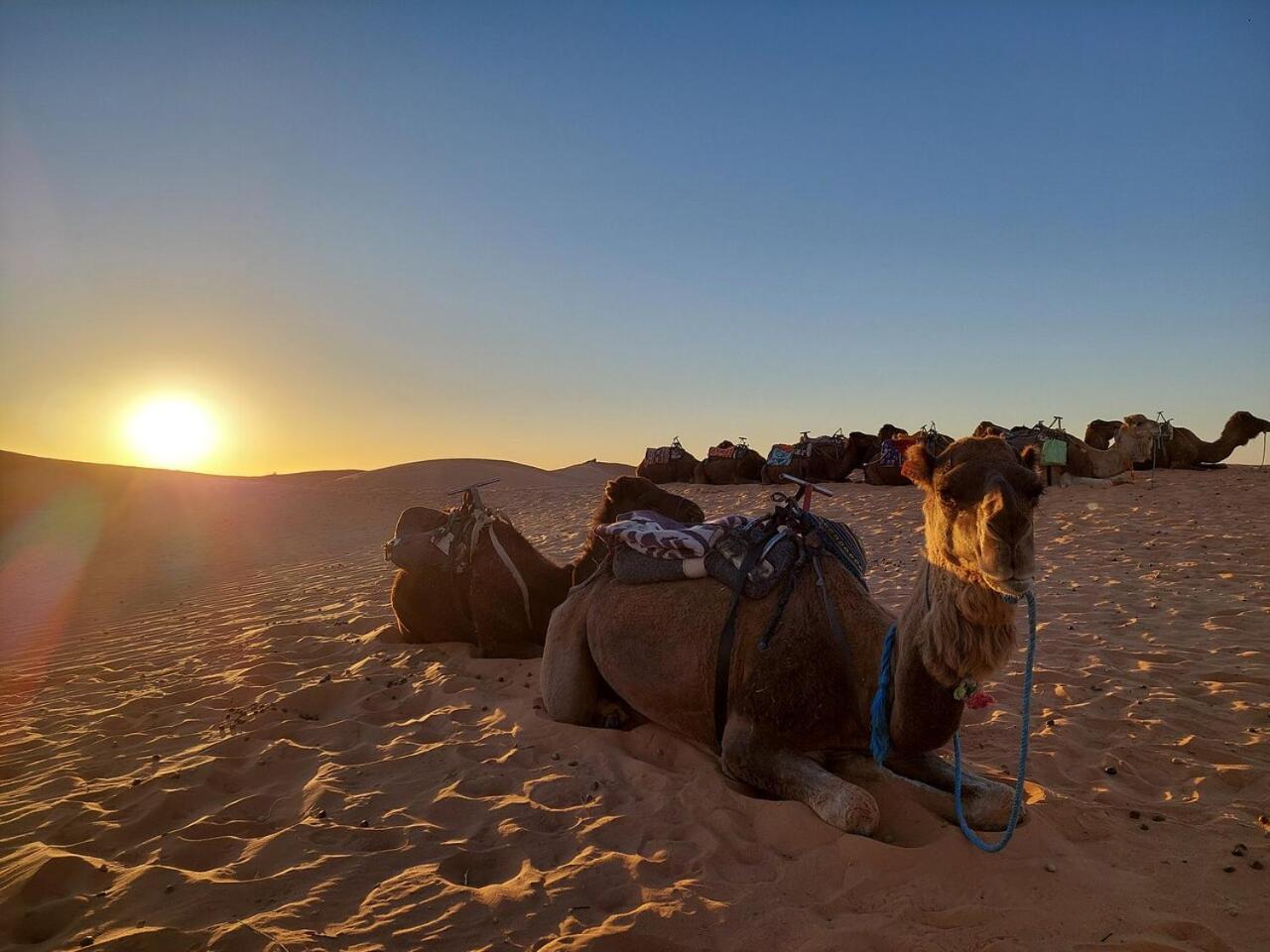 Desert Experience Glamping Merzouga Bagian luar foto